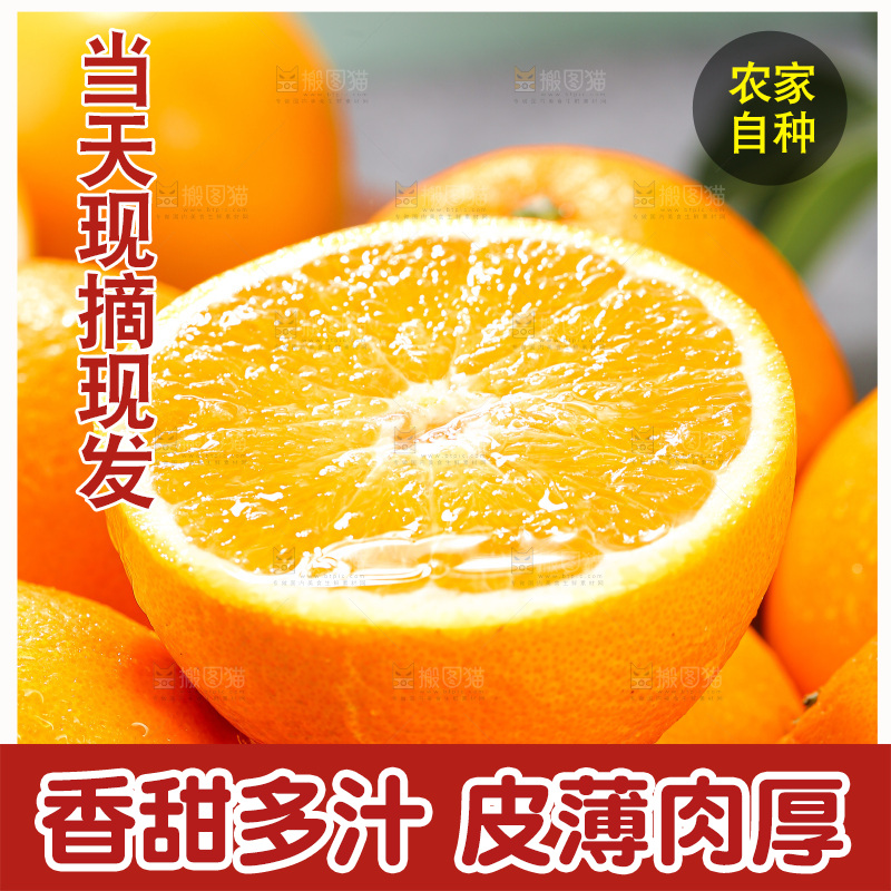 浅底上的脐橙