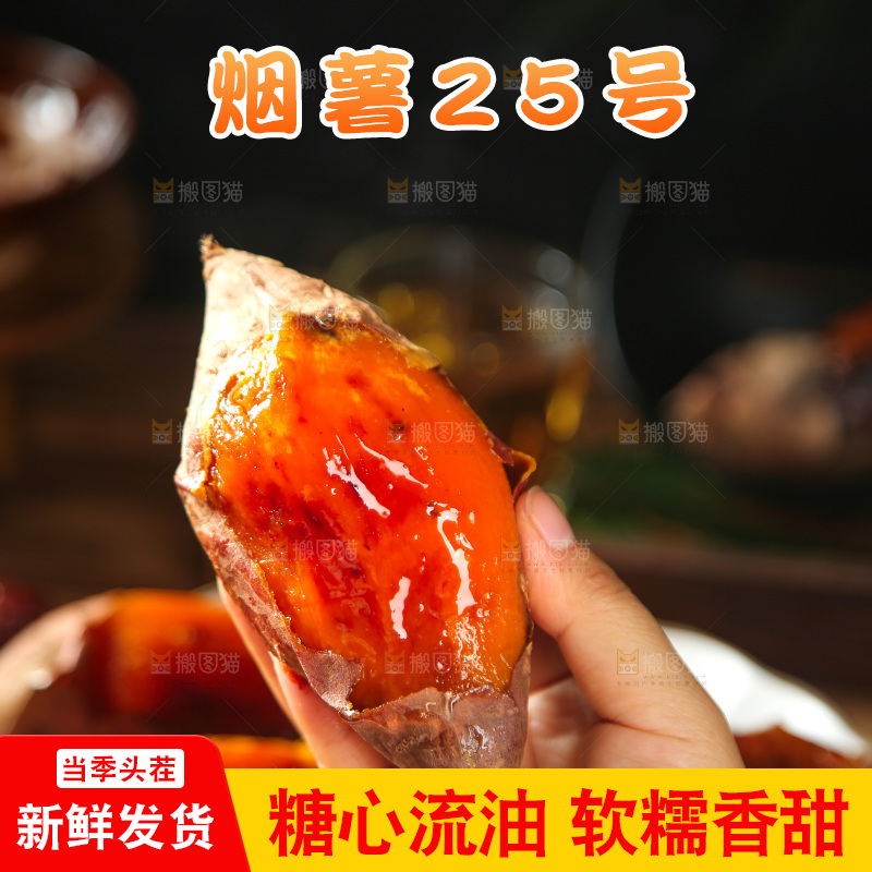 深底上的烤烟薯