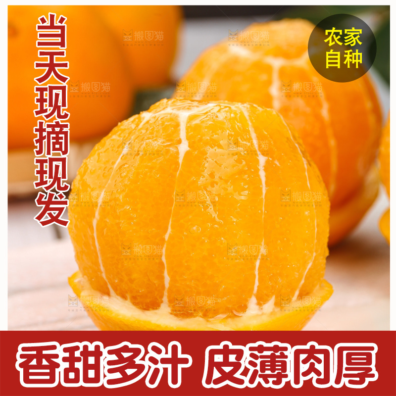 深底上的脐橙