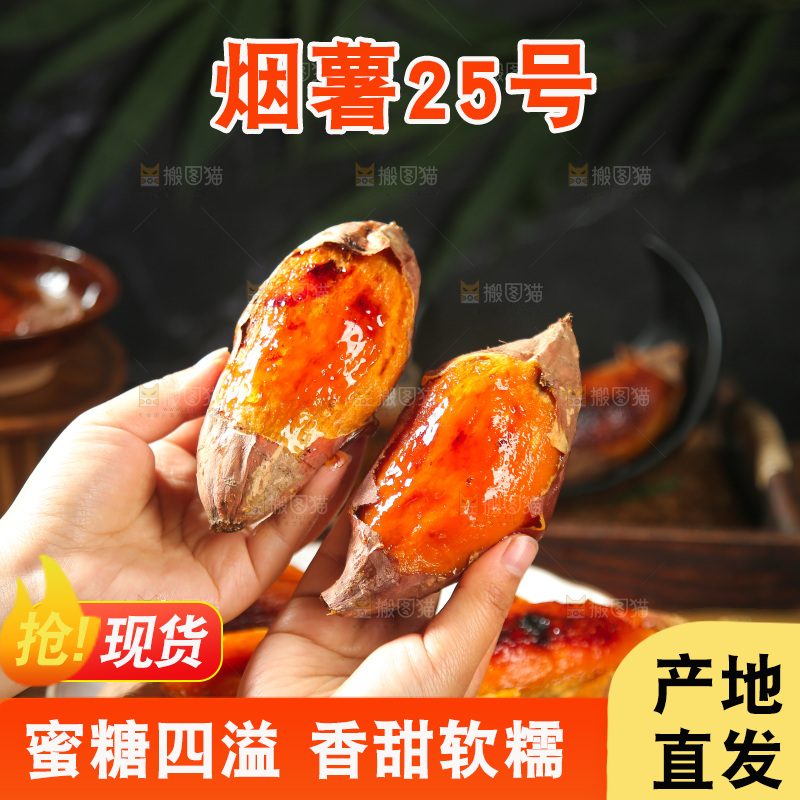 深底上的烤烟薯