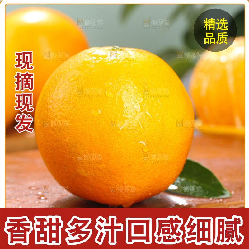 浅底上的脐橙