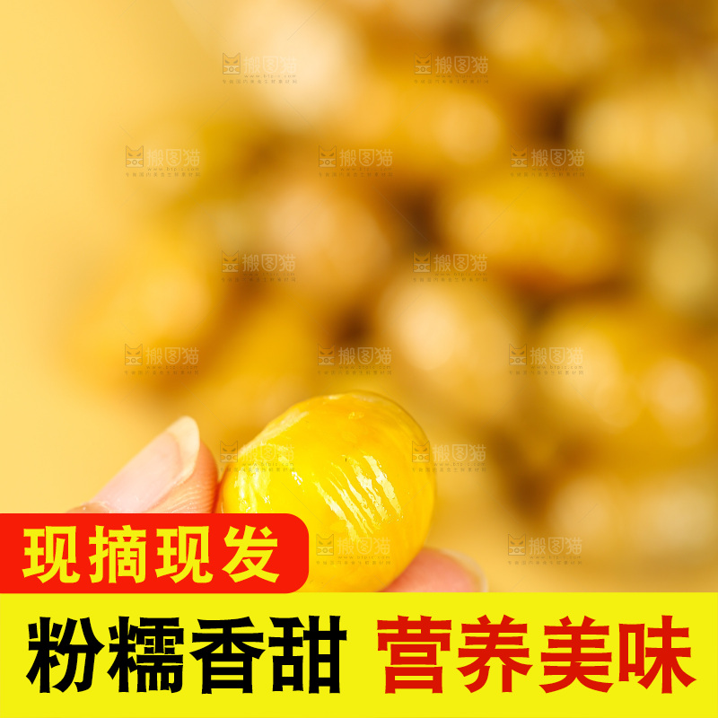 浅底上的板栗仁