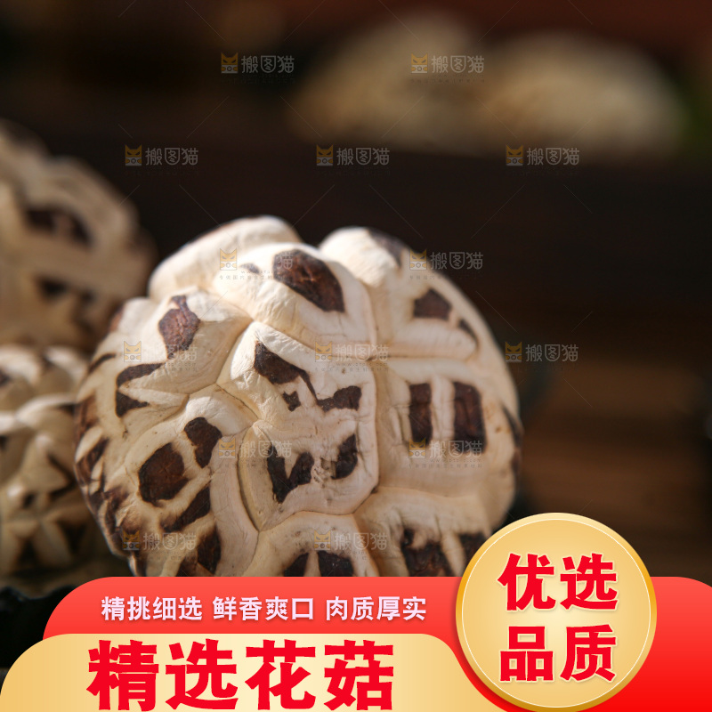 深底上的花菇