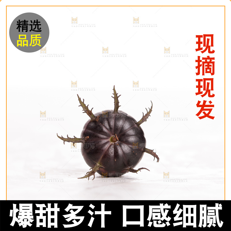 白底上的红果参