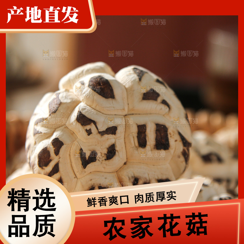 深底上的花菇