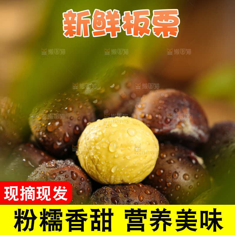 深底上的板栗仁