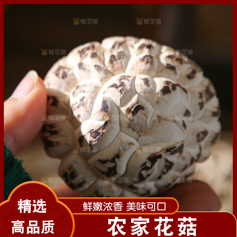 深底上的花菇