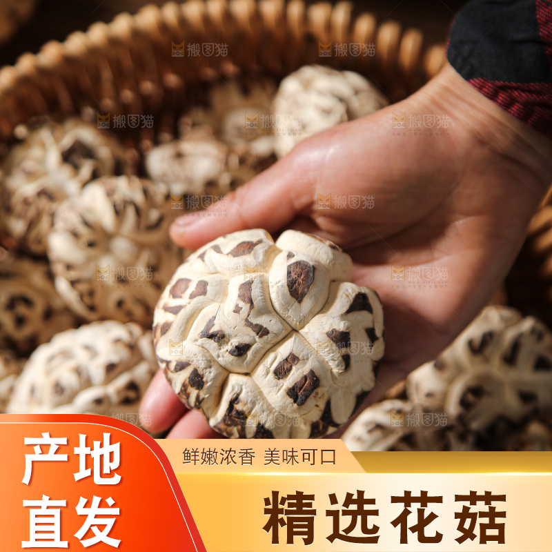 深底上的花菇