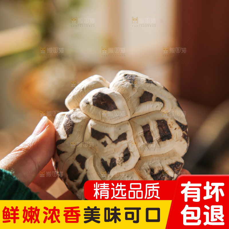 深底上的花菇