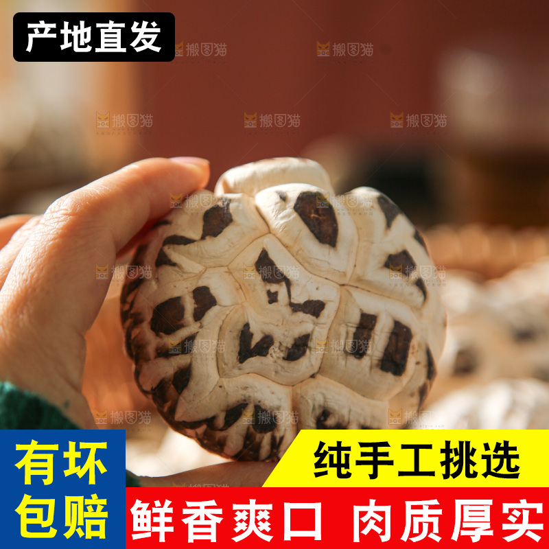 深底上的花菇