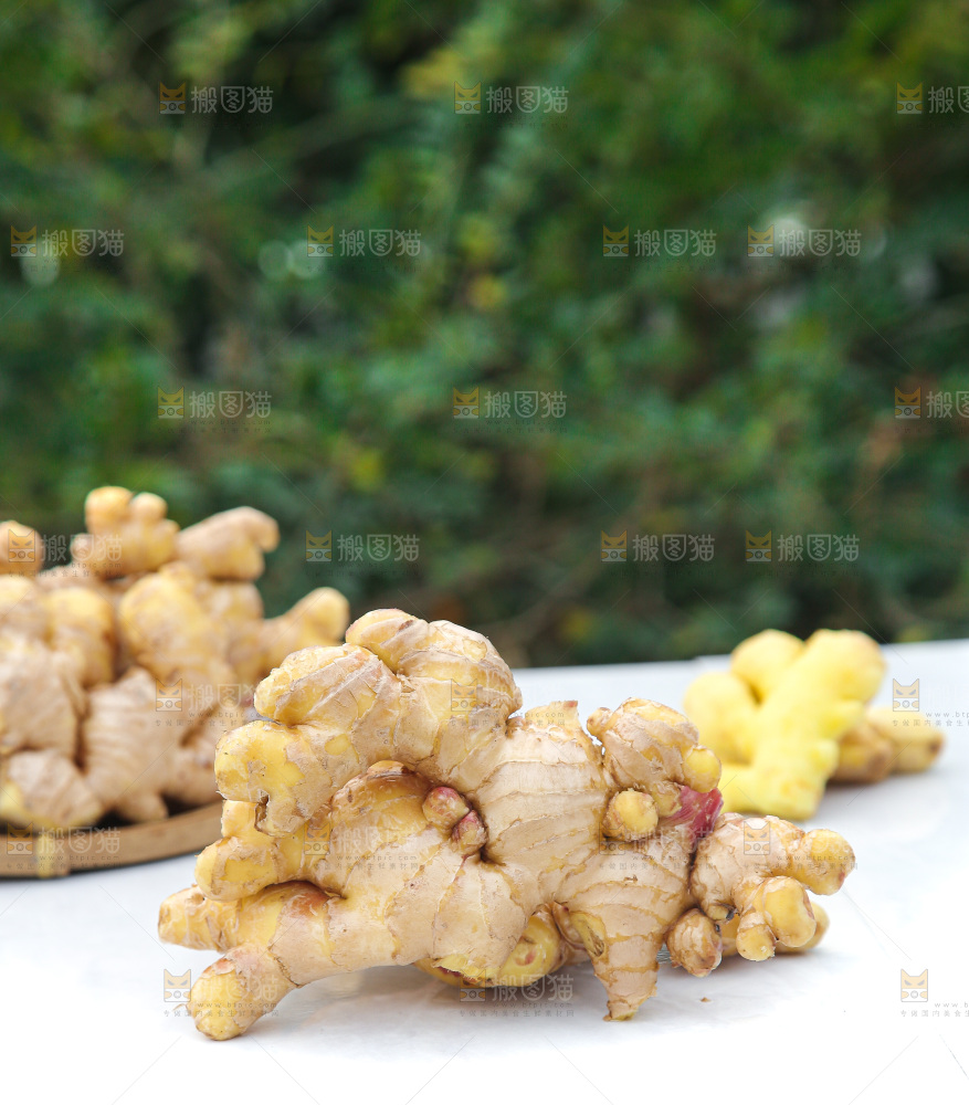 浅底上的小黄姜