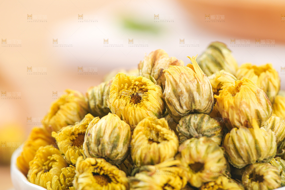 浅底上的胎菊