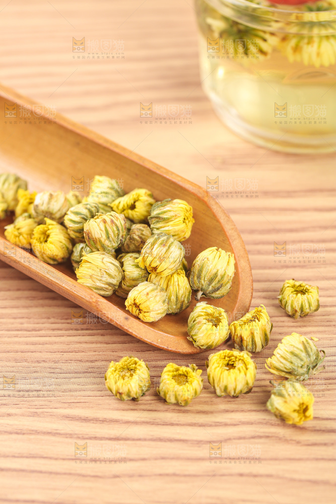 浅底上的胎菊