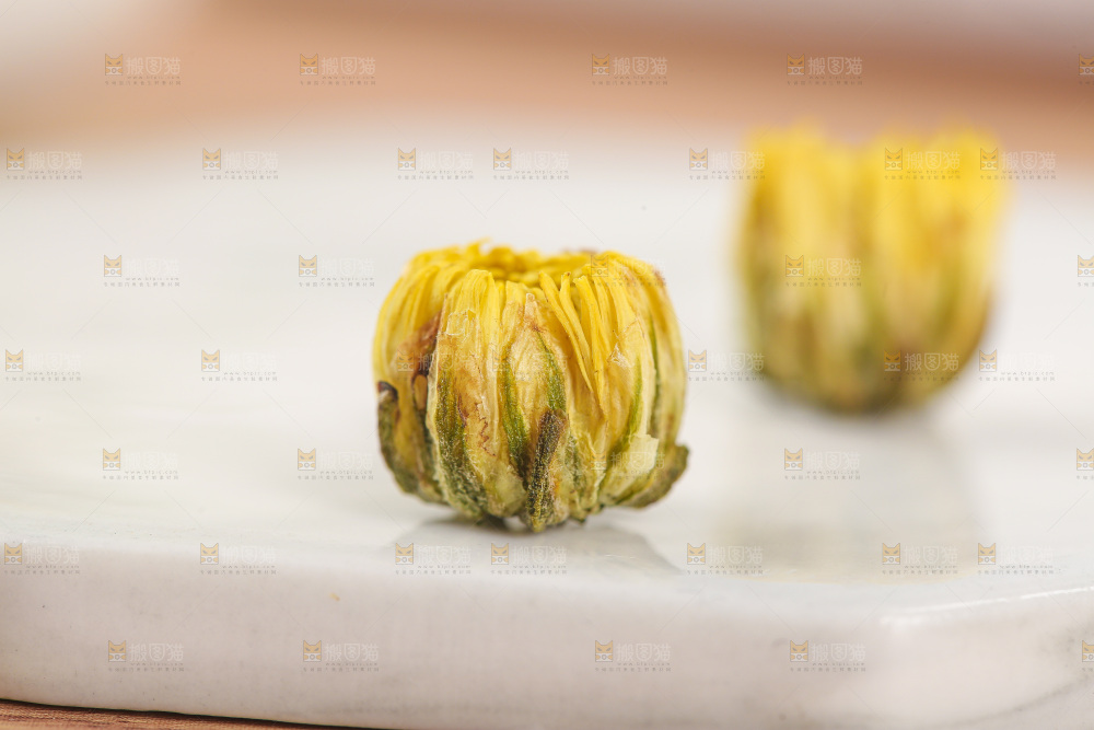 浅底上的胎菊
