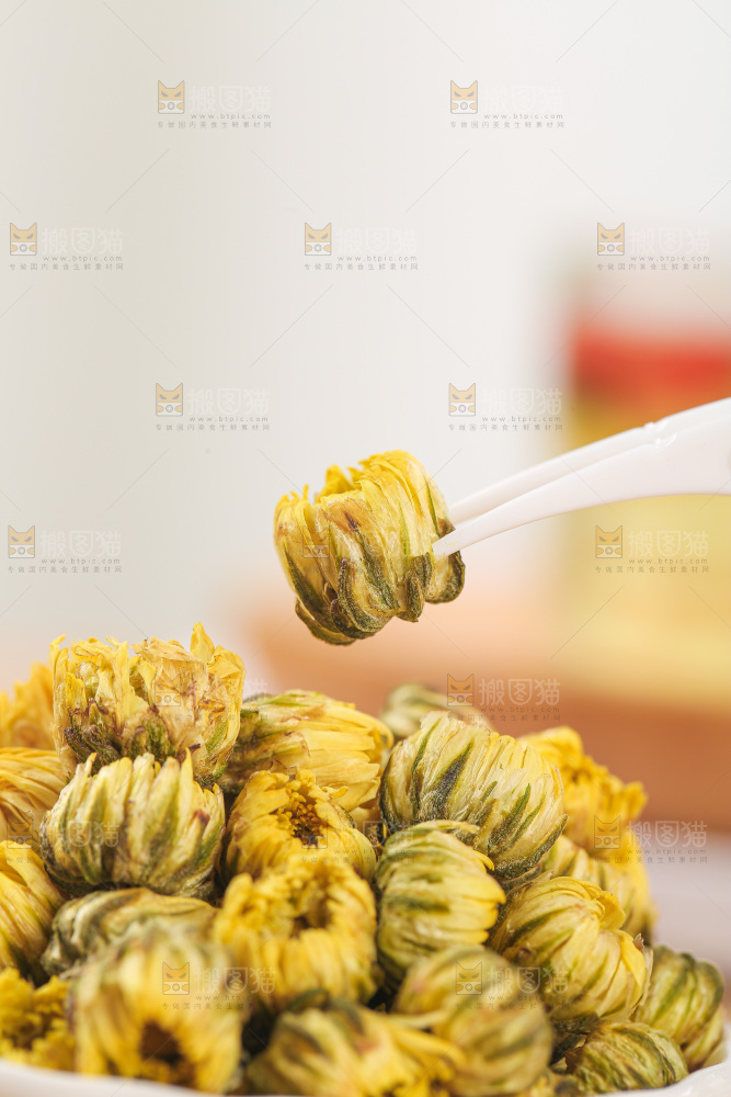 浅底上的胎菊