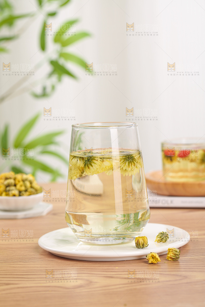 浅底上的胎菊