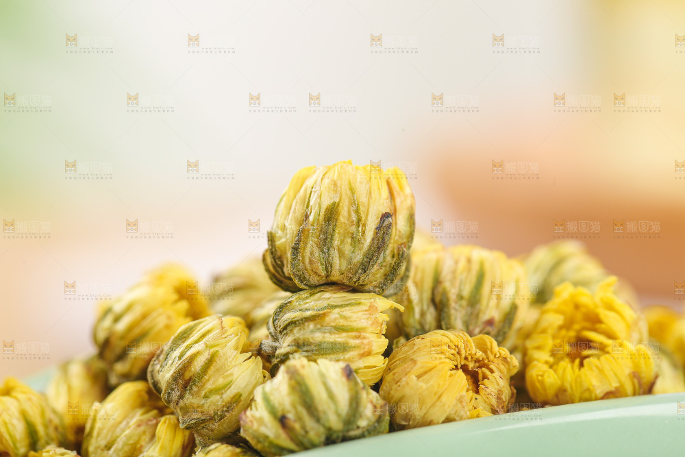 浅底上的胎菊