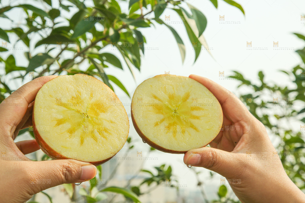 外景糖心苹果