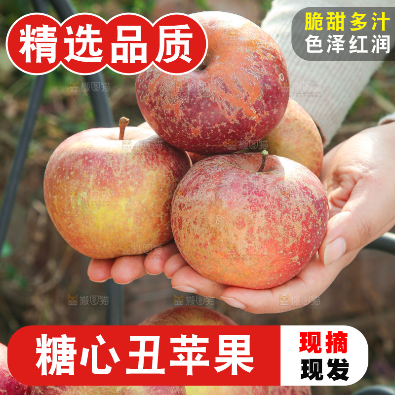 外景糖心苹果