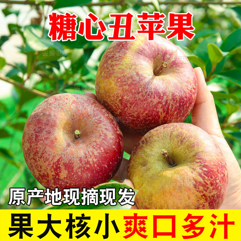 外景糖心苹果