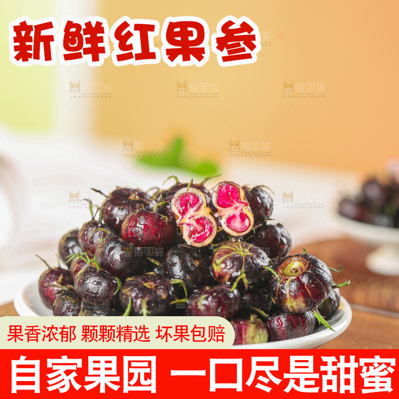 浅底上的红果参