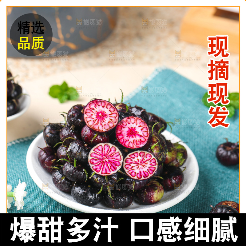 浅底上的红果参