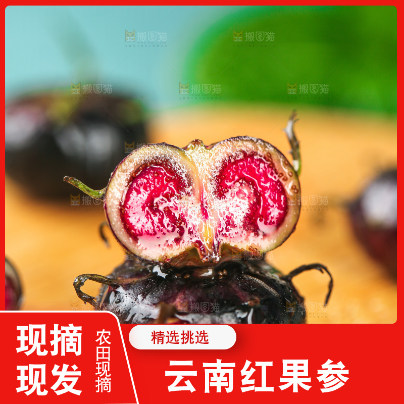 浅底上的红果参