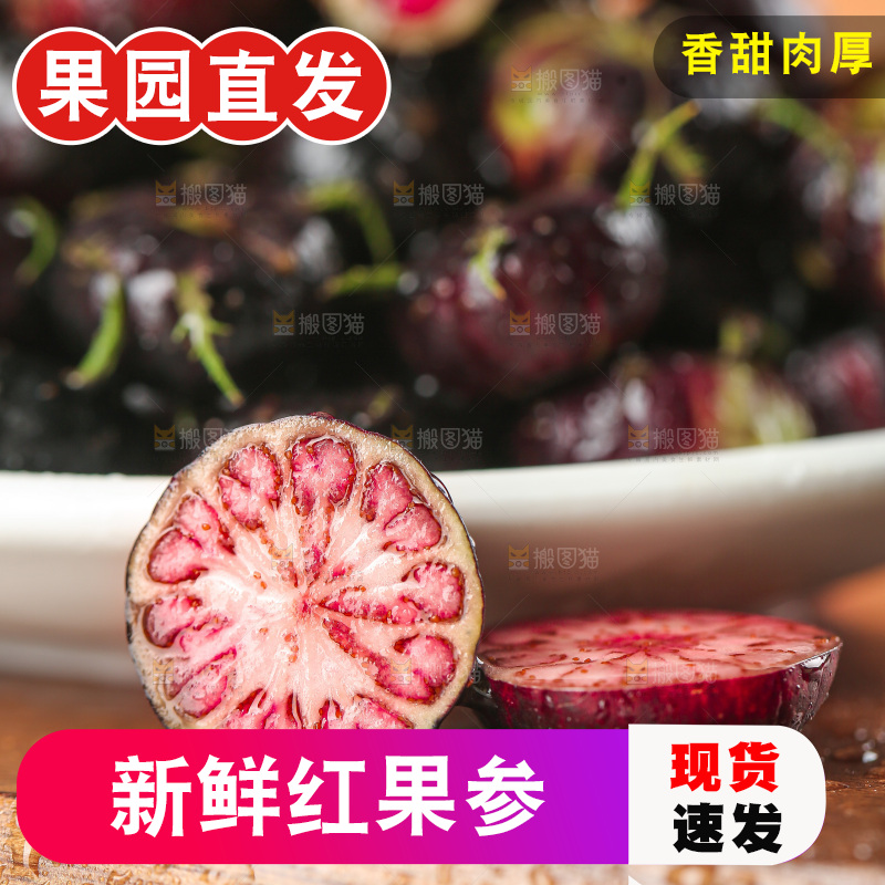 浅底上的红果参