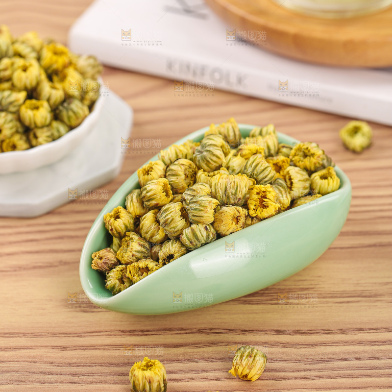 浅底上的胎菊