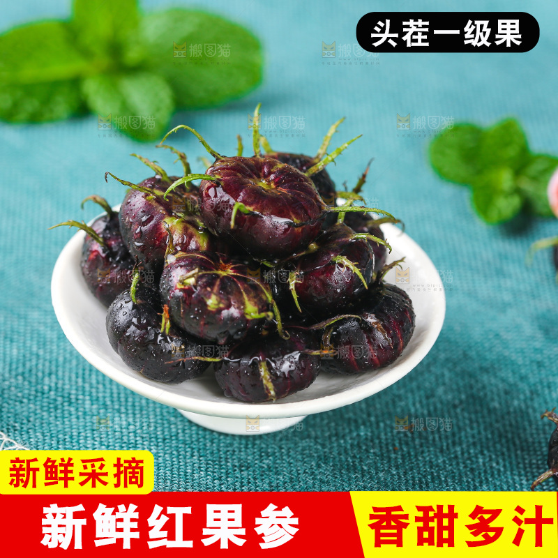 浅底上的红果参