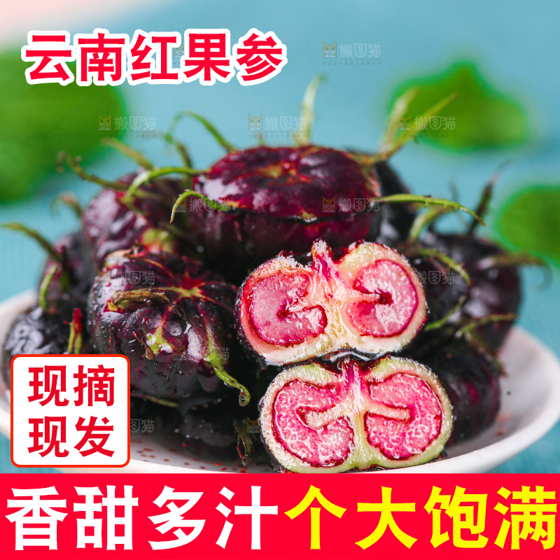 浅底上的红果参