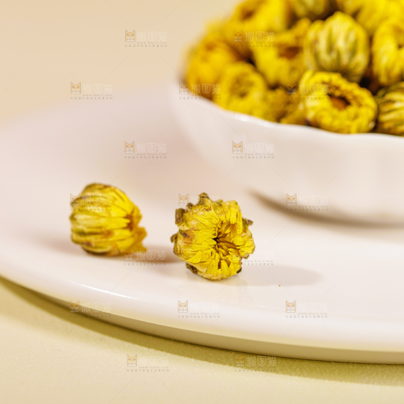 浅底上的胎菊