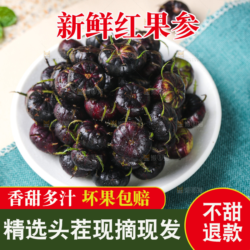 浅底上的红果参