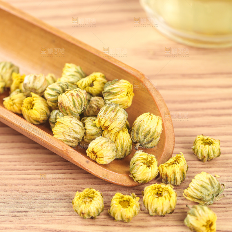 浅底上的胎菊
