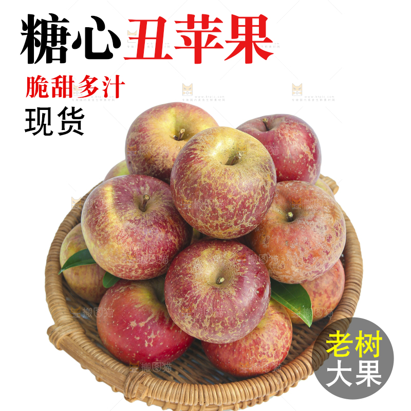 白底上的糖心苹果
