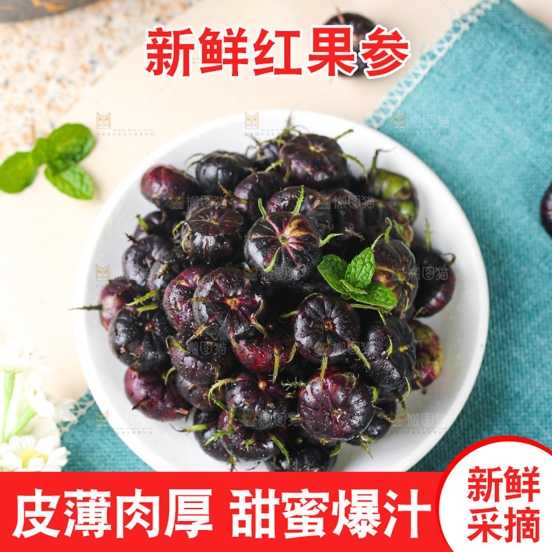 浅底上的红果参