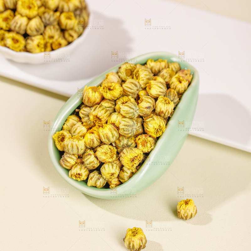 浅底上的胎菊