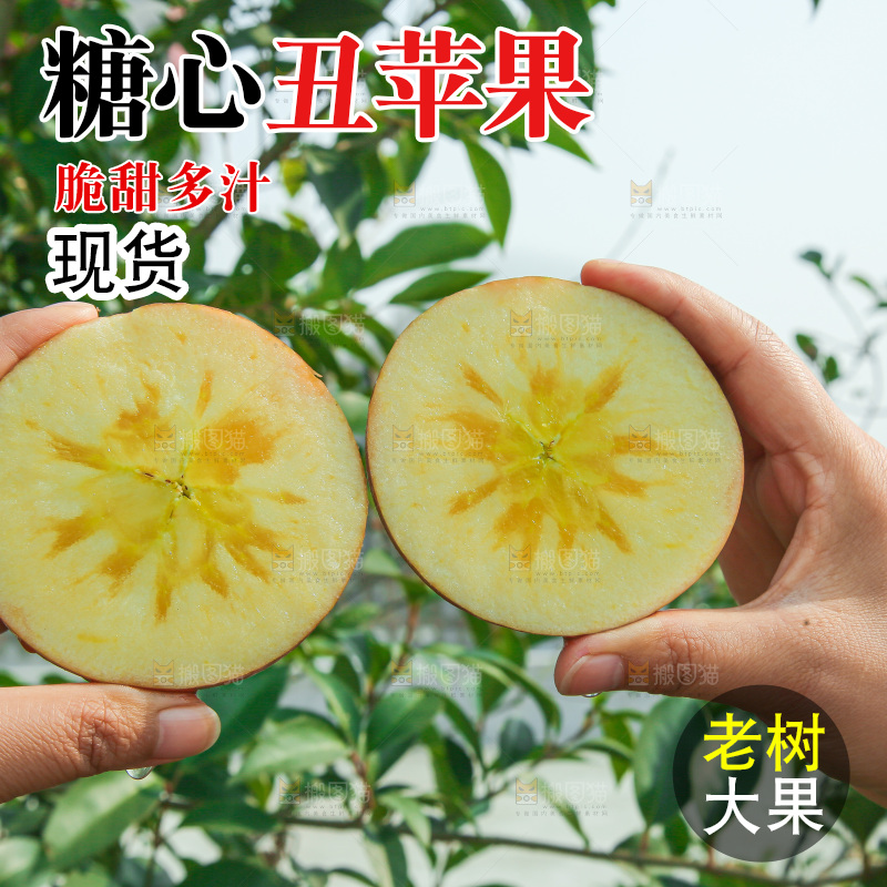 外景糖心苹果