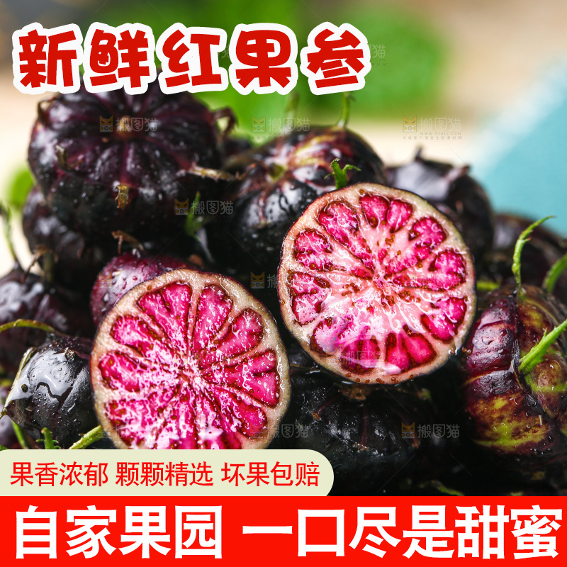 浅底上的红果参