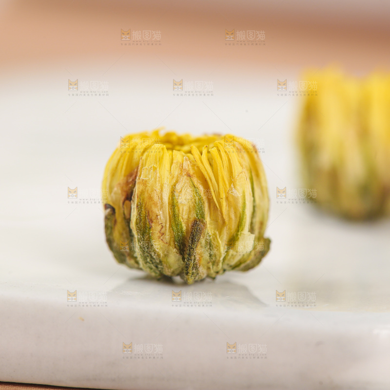 浅底上的胎菊