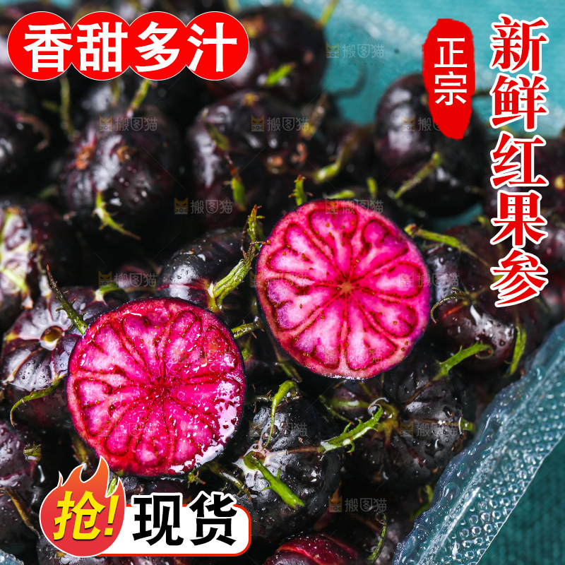 浅底上的红果参