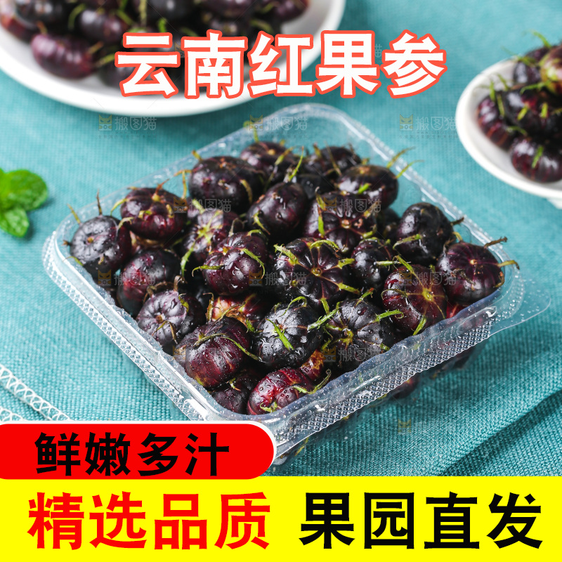 浅底上的红果参