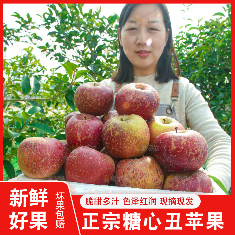 外景糖心苹果