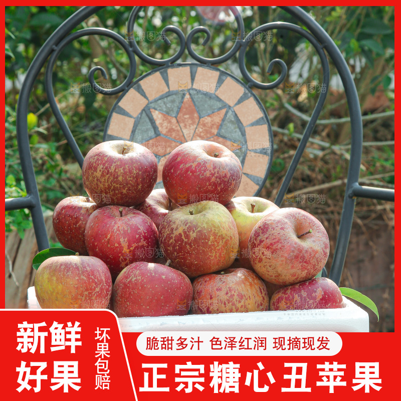 外景糖心苹果