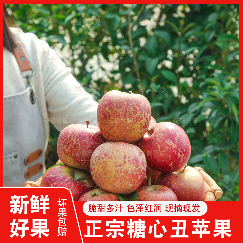 外景糖心苹果