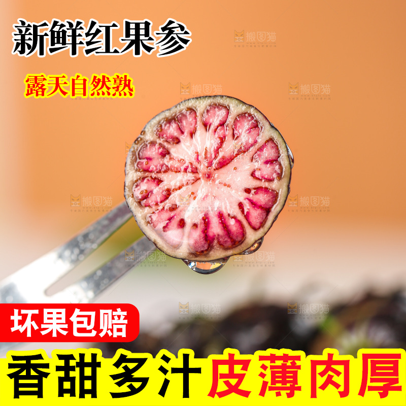 浅底上的红果参