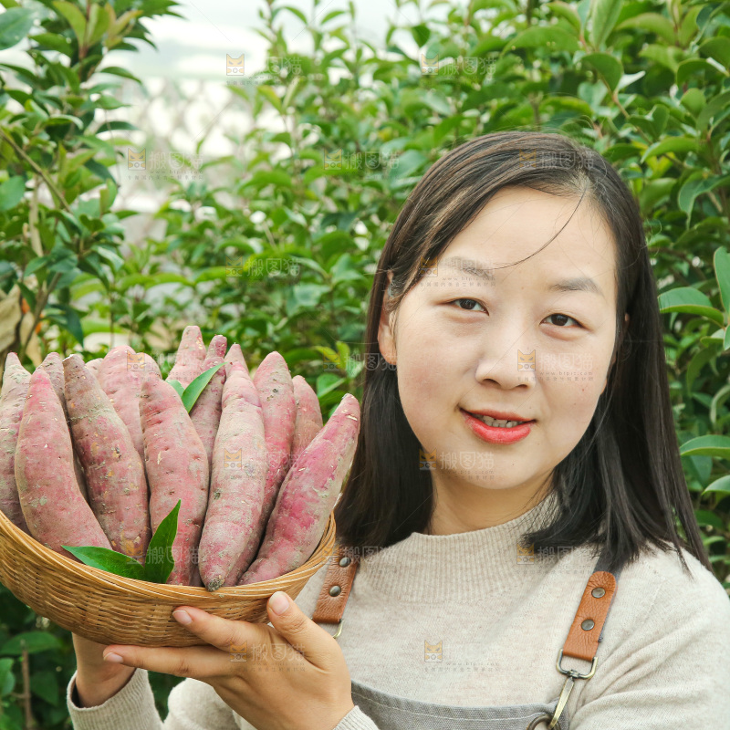 手上拿的红瑶蜜薯