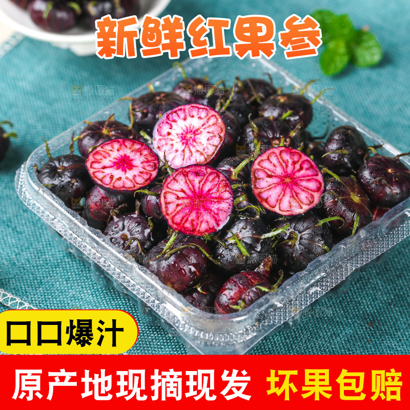 浅底上的红果参
