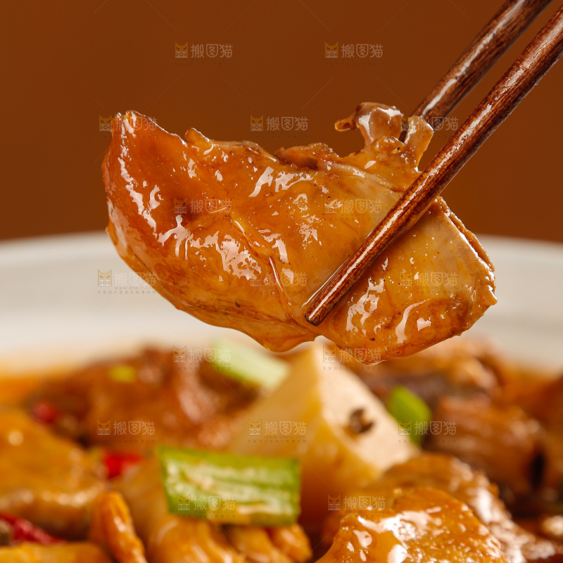 深底上的炖鹅肉