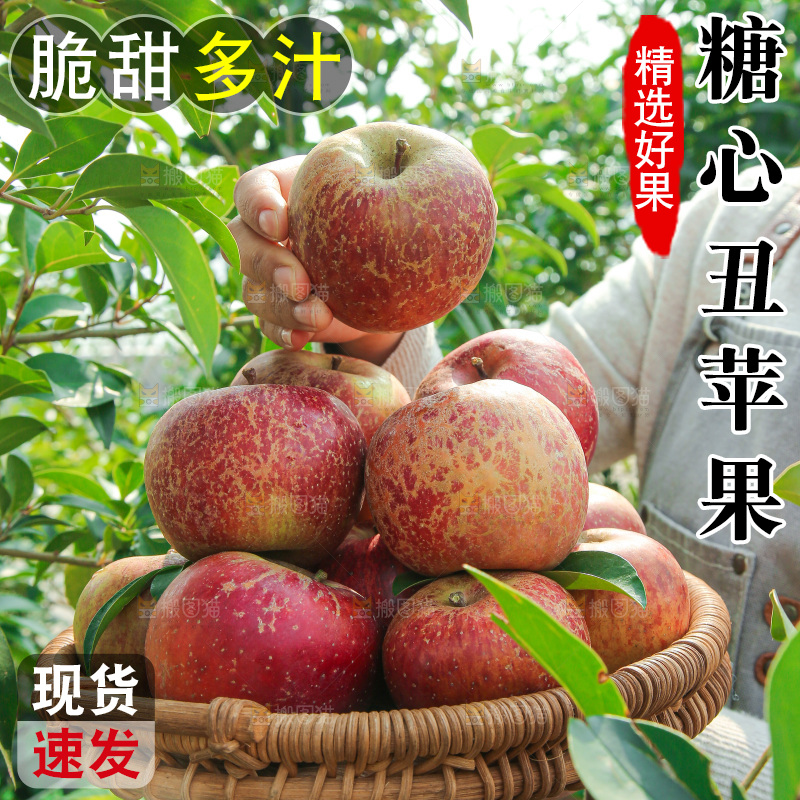 外景糖心苹果